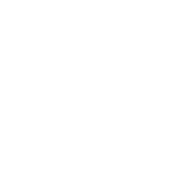 iconeCasa